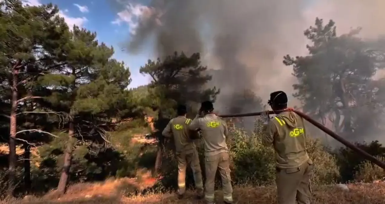 Mersin’de Orman Yangını: 15 Bin Dönüm Küle Döndü